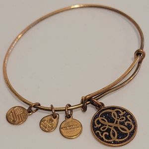 Alex and Ani Infinity Sparkle Bangle Charm Bracelet